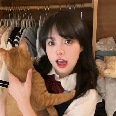 命运小说家 在线观看