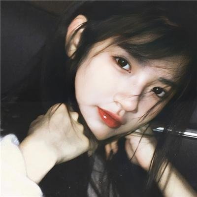 翼龙 在线观看